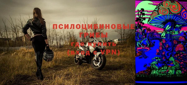 тгк Алзамай