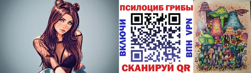 kraken ТОР  Балахна  Галлюциногенные грибы Psilocybe 