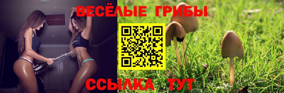 Галлюциногенные грибы Psilocybine cubensis Балахна